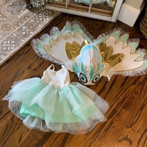 Pottery Barn Kids Owl Costume 3t 🦉
